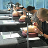 Beginner Eyelash Extension Training Gold Coast